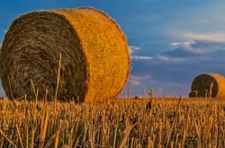 Альтернативні види палива в энергетиці аграрного комплексу