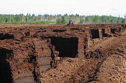 Мала енергетика України: перспективи торф'яного палива 